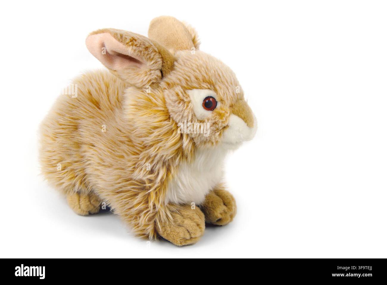 Jouet lapin en peluche isolé sur fond blanc. Peluche douce pour enfants. Concept d'enfance, de jeu et de cadeau de Pâques. Banque D'Images
