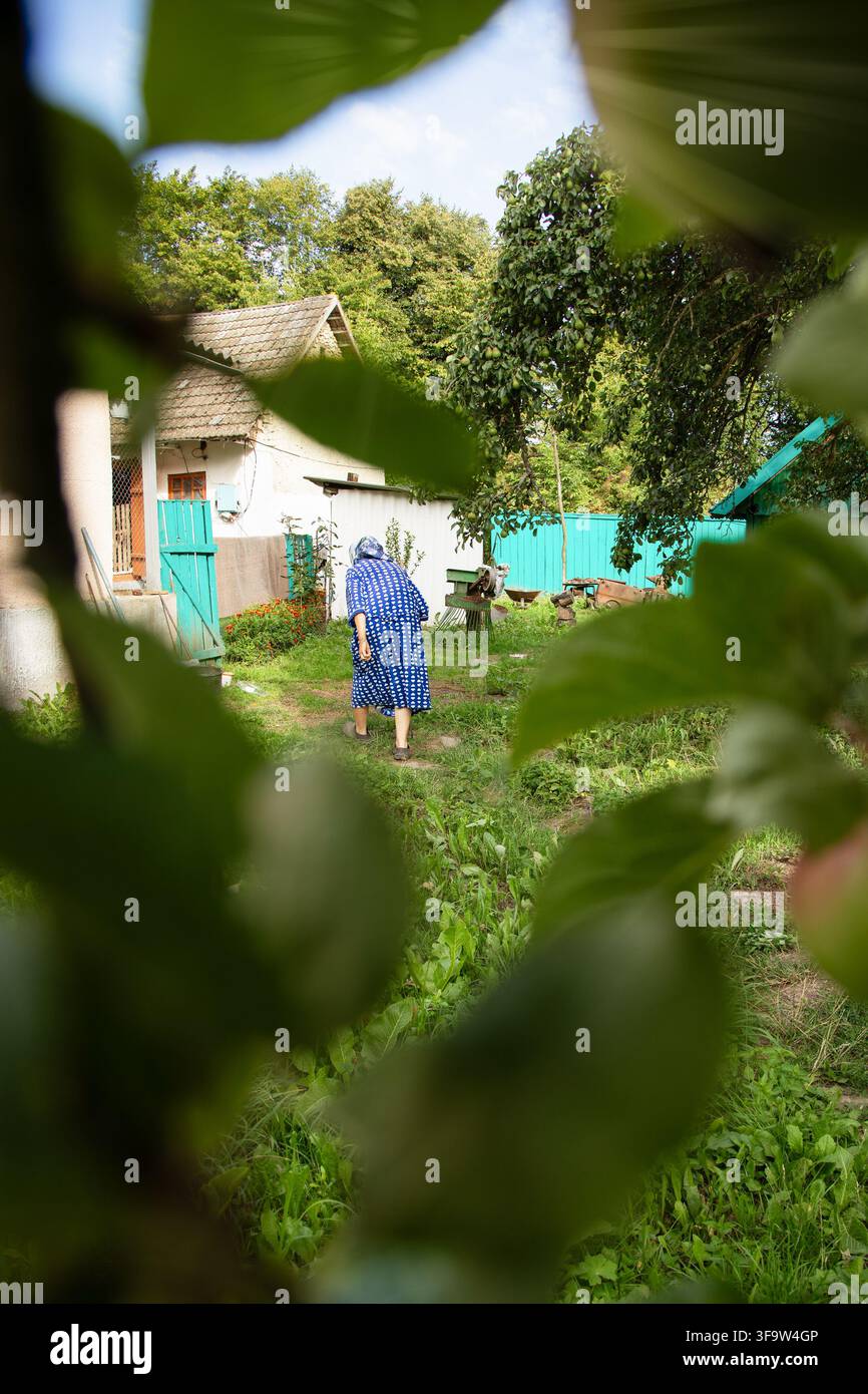 Une femme âgée voûtée dans un jardin rural, appuyée sur une houe, marchant sur l'herbe verte, vue de dos, concept de vie difficile, problèmes de santé, vieillissement et village wo Banque D'Images