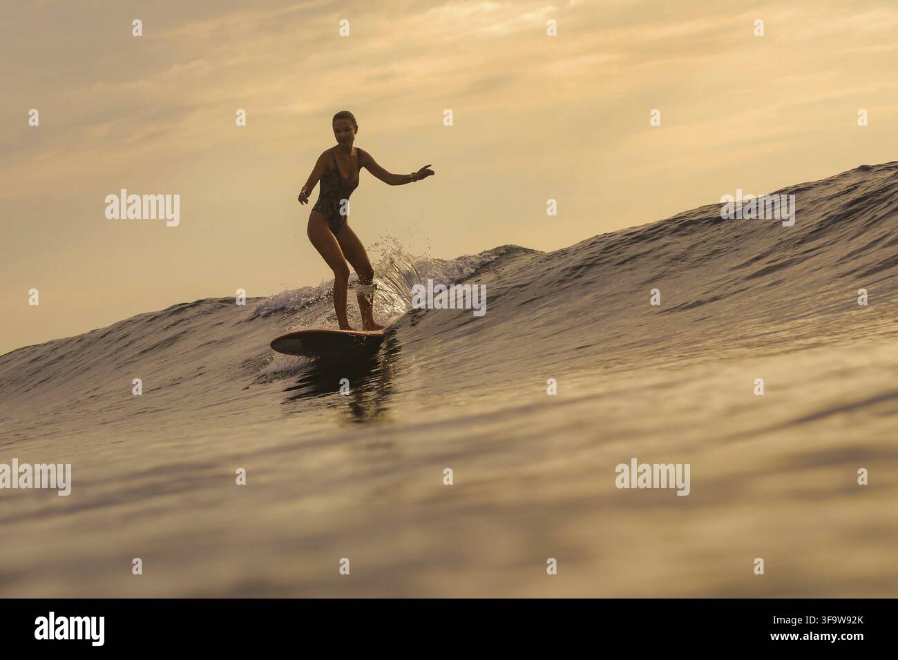 Scène paisible d'une femme qui se balance sur sa planche de surf au coucher du soleil, tout en flottant sur l'océan paisible Banque D'Images