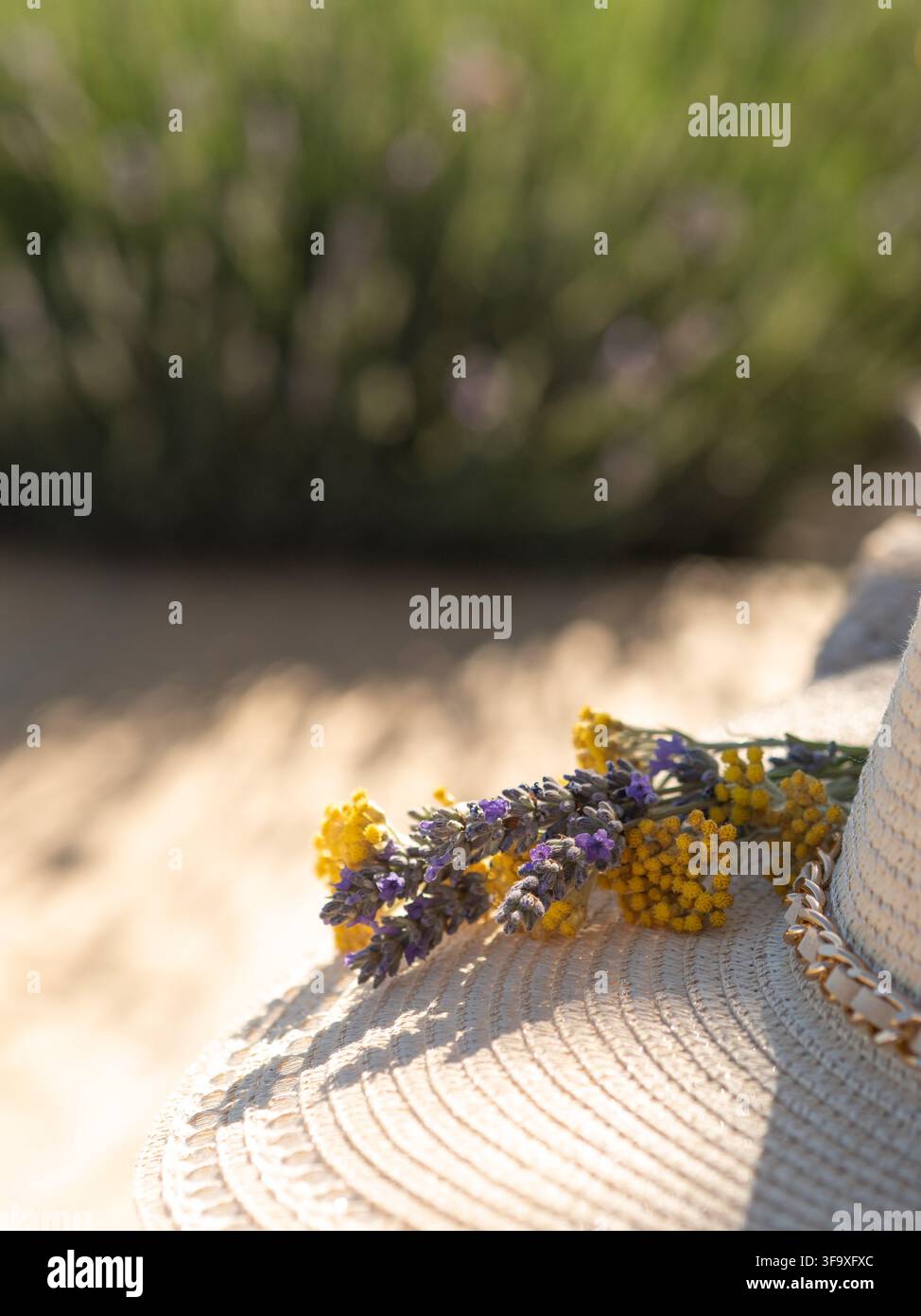 Fleurs fraîches de lavande et de tanaisie sur un chapeau de soleil tissé Banque D'Images