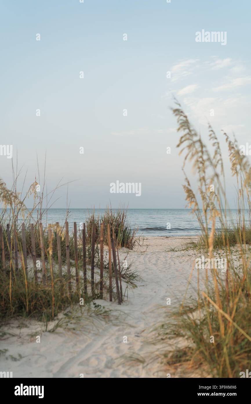 Chemin de sable à travers les dunes vers un océan calme Banque D'Images