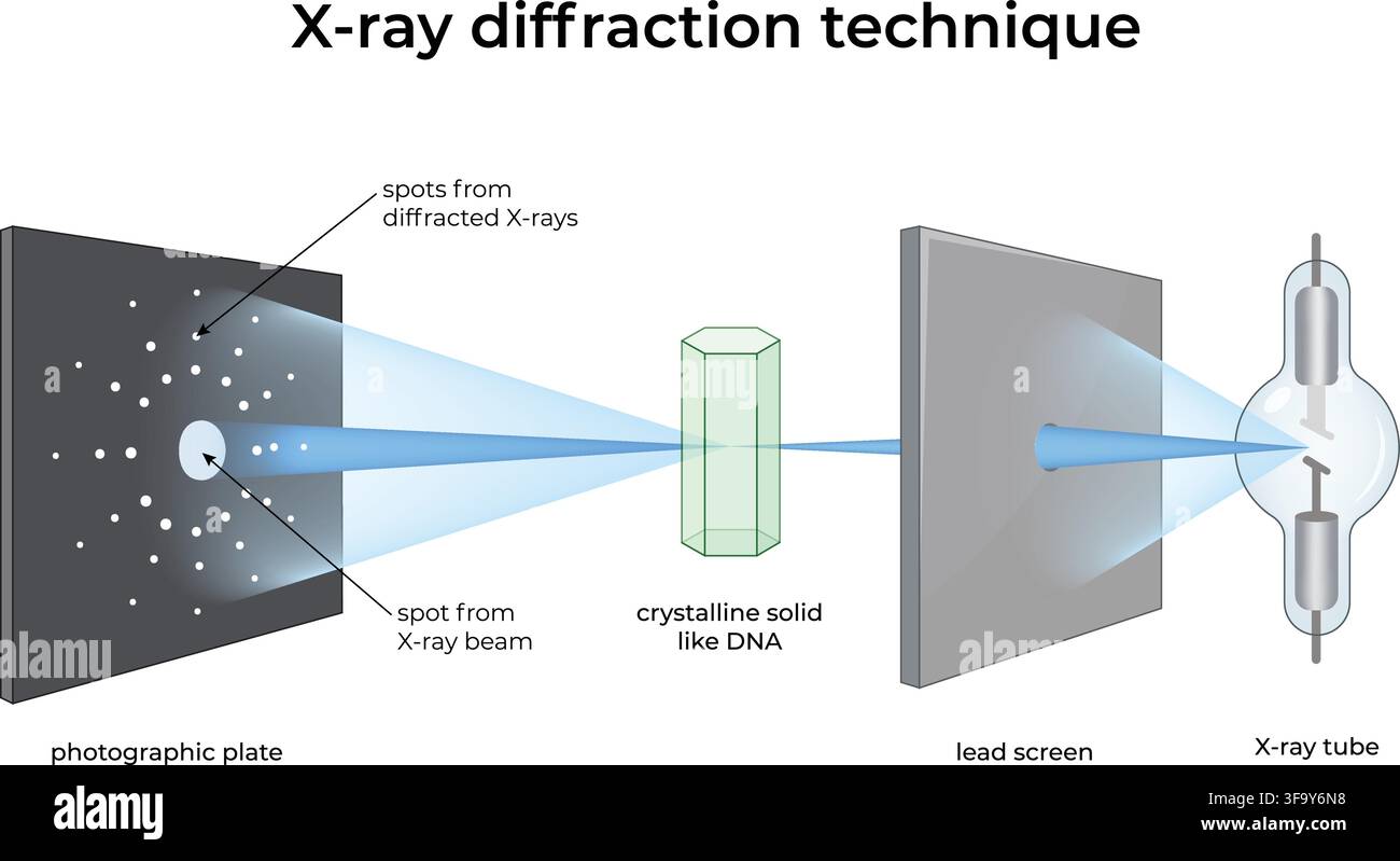 Technique de diffraction des rayons X montrant l'ADN cristallin et le motif de diffraction des rayons X Illustration de Vecteur
