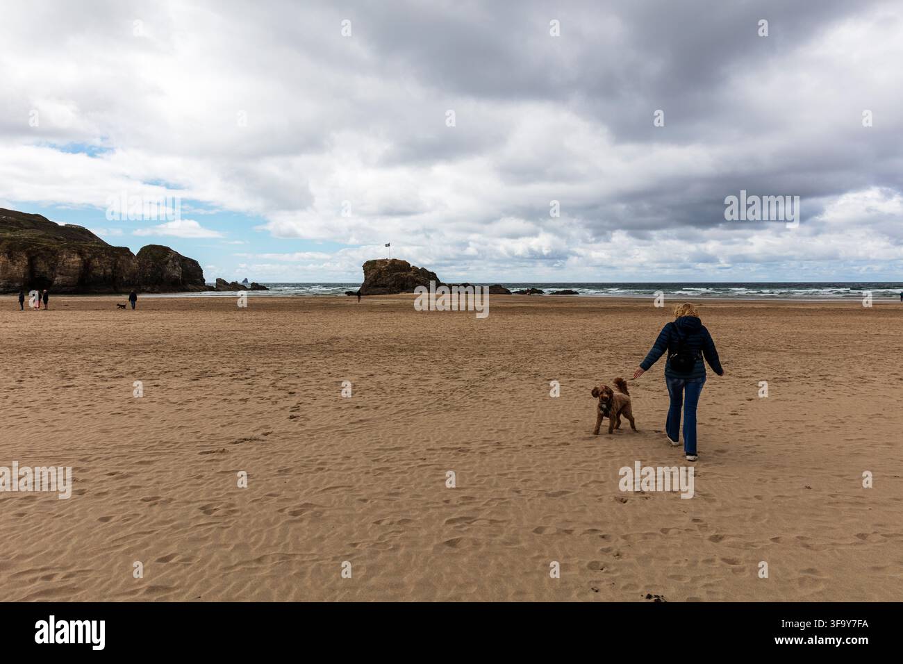 Perranporth, Cornouailles, Royaume-Uni, Angleterre, plage de Perranporth avec une personne promenant un petit chien brun au premier plan. Les vagues se brisent contre des formations rocheuses Banque D'Images