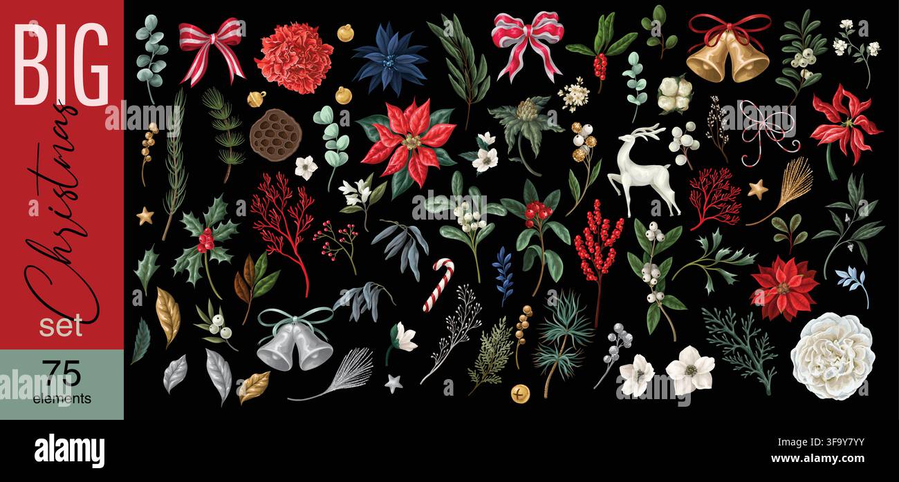 Éléments de Noël isolés Grand ensemble avec Poinsettias Nœuds Cloches Collection de cliparts botaniques pour les fêtes Illustration de Vecteur