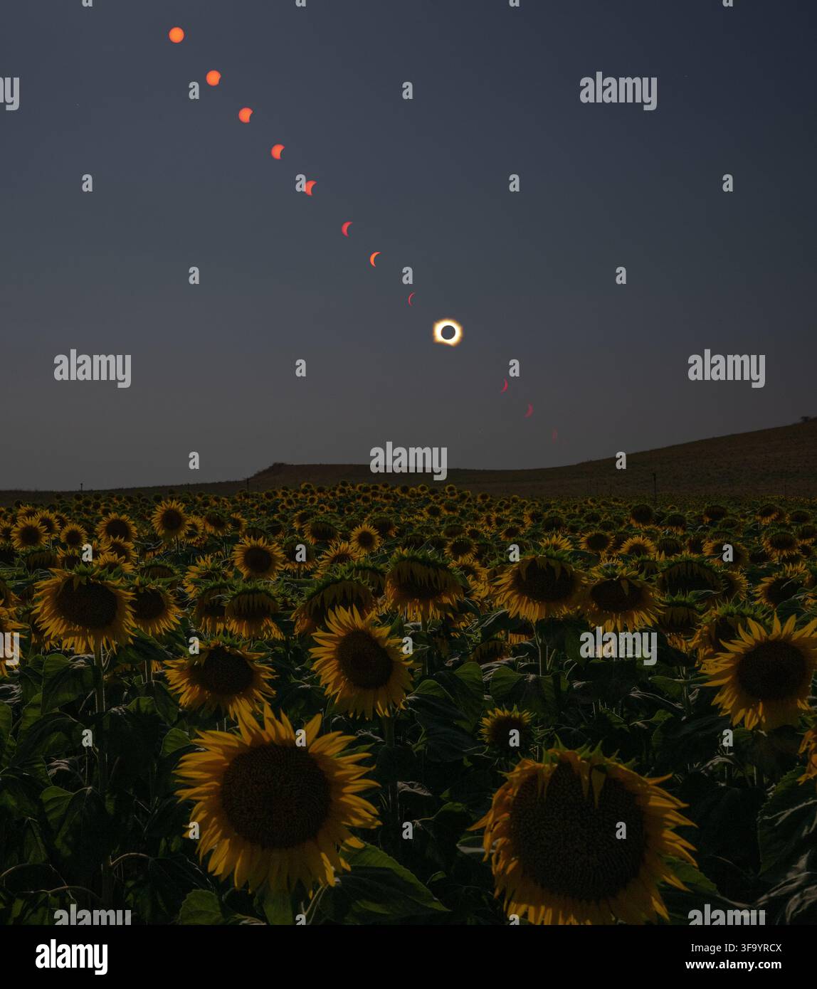 San Millan de los Caballeros, Espagne. 12 août 2026. Une image composite de huit photos montrant la progression d'une éclipse solaire totale alors qu'elle passe au-dessus d'un champ de tournesols, le 12 août 2026 depuis San Millán de los Caballeros, Espagne. Une éclipse solaire totale a balayé des parties du Groenland, de l'Islande, du nord de la Russie, de l'océan Atlantique, de l'Espagne et d'un petit coin du Portugal. Une éclipse partielle était visible dans certaines parties des États-Unis, dans la majeure partie du Canada, dans une grande partie de l'Europe et dans le nord-ouest de l'Afrique. Credit: Bill Ingalls/NASA/Alamy Live News Banque D'Images