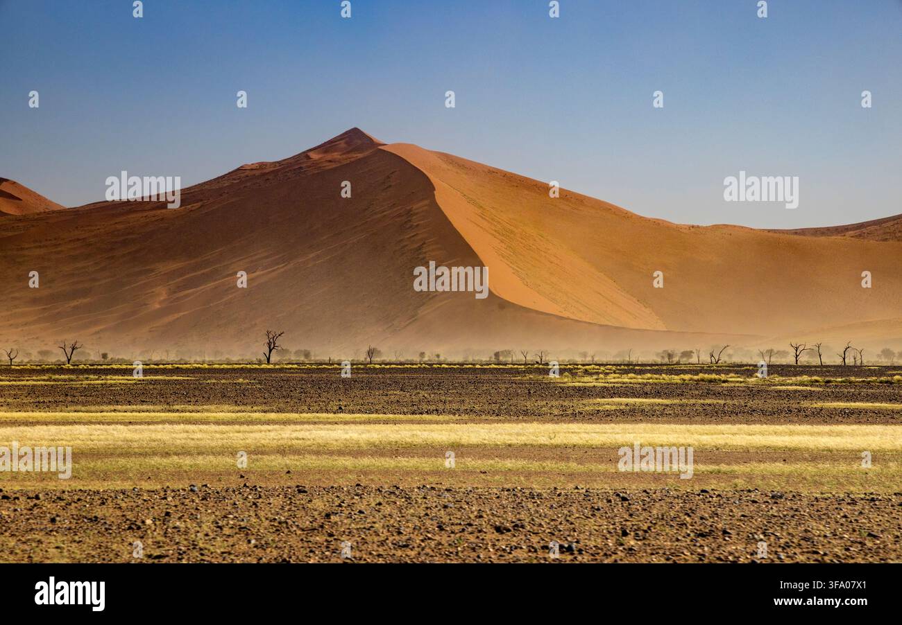 Le paysage désertique de Sossusvlei, Parc national de Namib Naukluft, Namibie, Afrique Banque D'Images