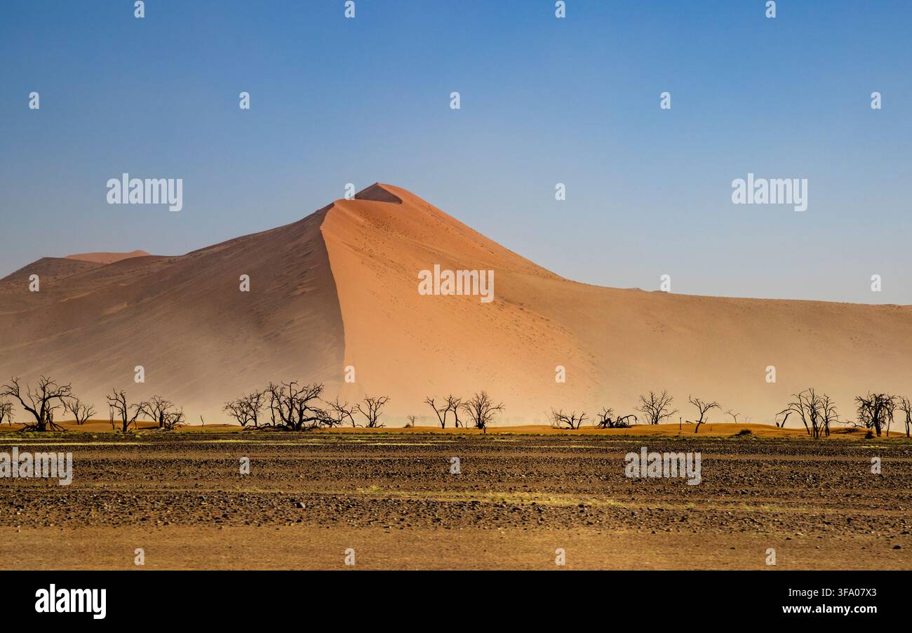 Une tempête de sable dans le paysage désertique de Sossusvlei, Parc national de Namib Naukluft, Namibie, Afrique Banque D'Images