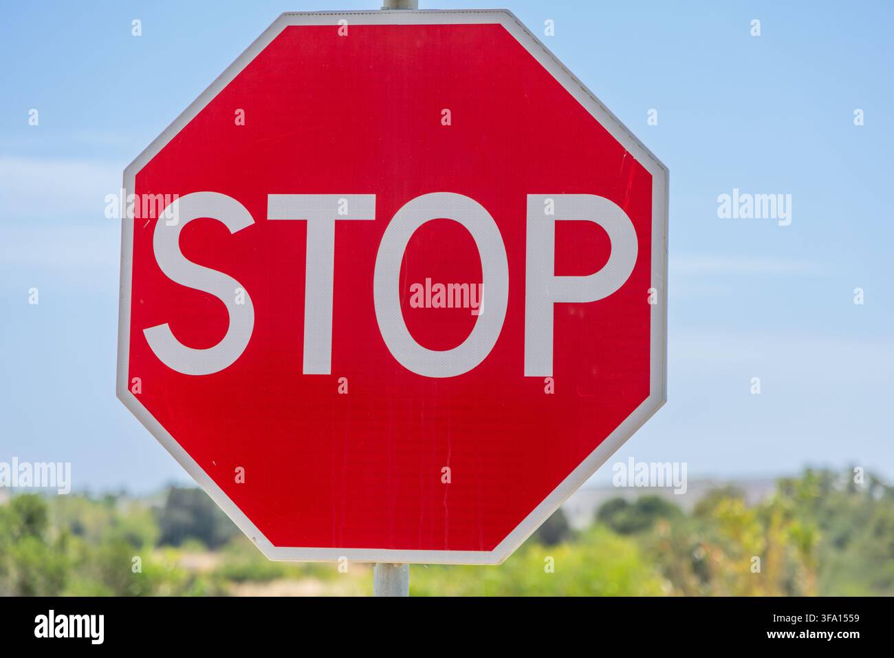 Un panneau d'arrêt octogonal classique avec des lettres blanches épaisses se dresse de manière proéminente contre un ciel bleu vif avec un feuillage vert lointain Banque D'Images