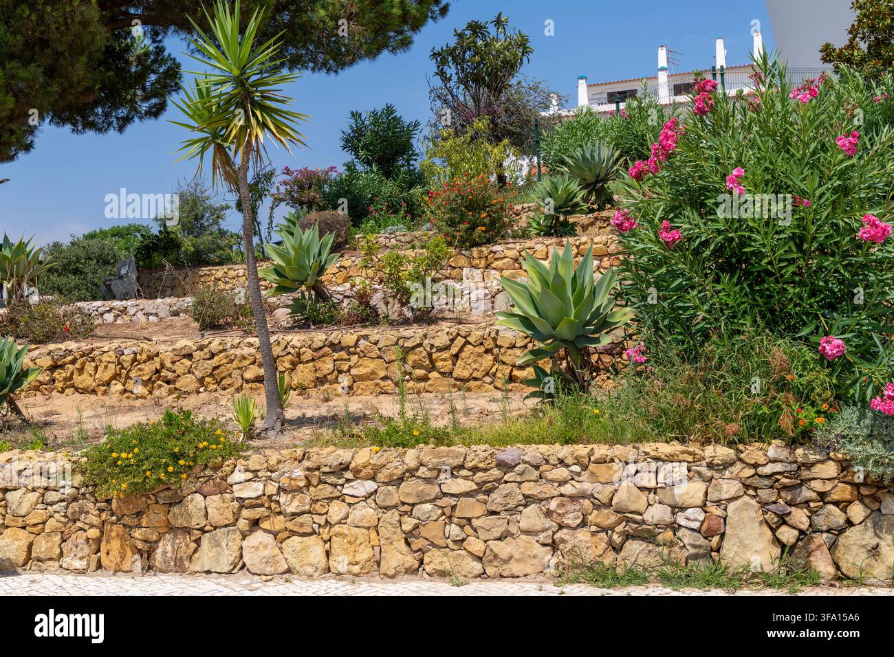 Un jardin en pente luxuriant présente des murs de pierre superposés, des succulentes variées et des arbustes fleuris éclatants sous un ciel bleu clair Banque D'Images