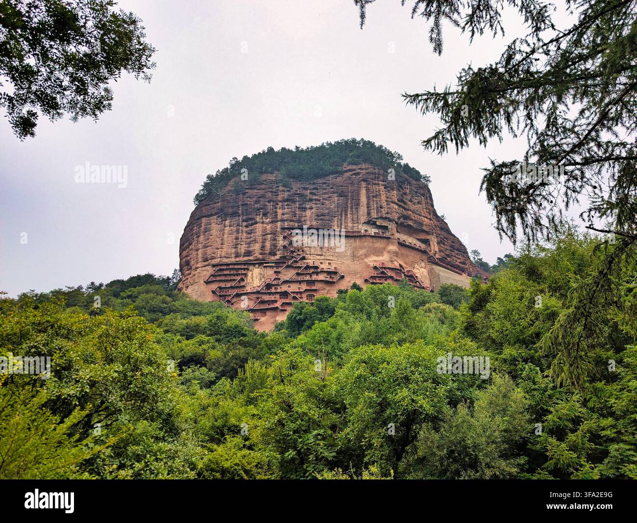 Vue des grottes historiques de Maijishan taillées dans la falaise escarpée, entourées d'une forêt luxuriante et d'arbres à Tianshui, en Chine. Banque D'Images