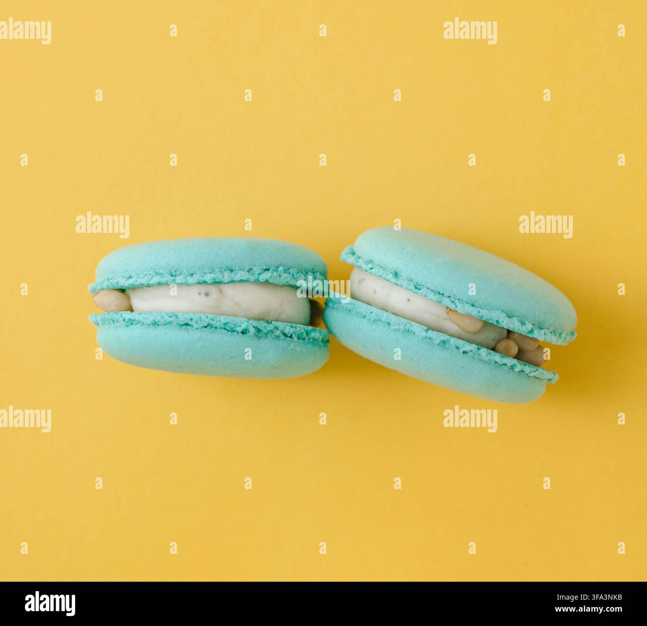 Deux macarons français turquoise sur un fond jaune vif contrasté, photographie de dessert aux couleurs vives en blocs. Photo de haute qualité Banque D'Images