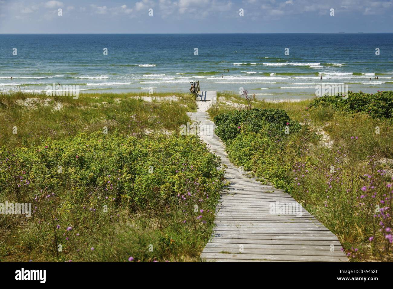 Passerelle en bois menant à la mer Baltique bleue à travers une végétation dunaire sauvage, avec des vélos garés au bord de la plage Banque D'Images