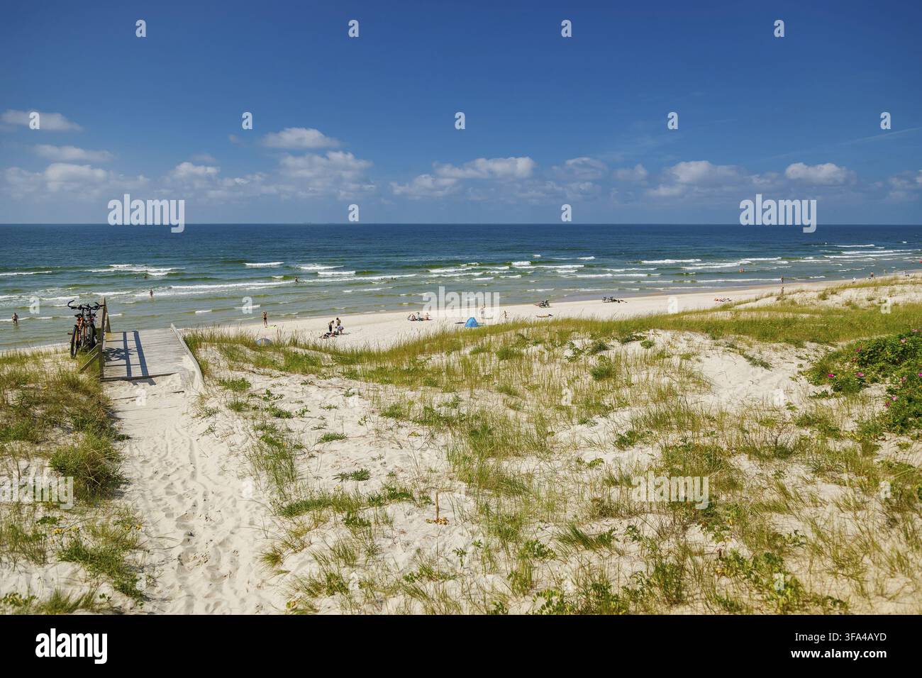 Vue large et ensoleillée de la plage de la presqu'île de Courlande et de la mer Baltique avec des personnes éparses, des dunes couvertes d'herbe, une plateforme en bois et des vélos, parfait f Banque D'Images
