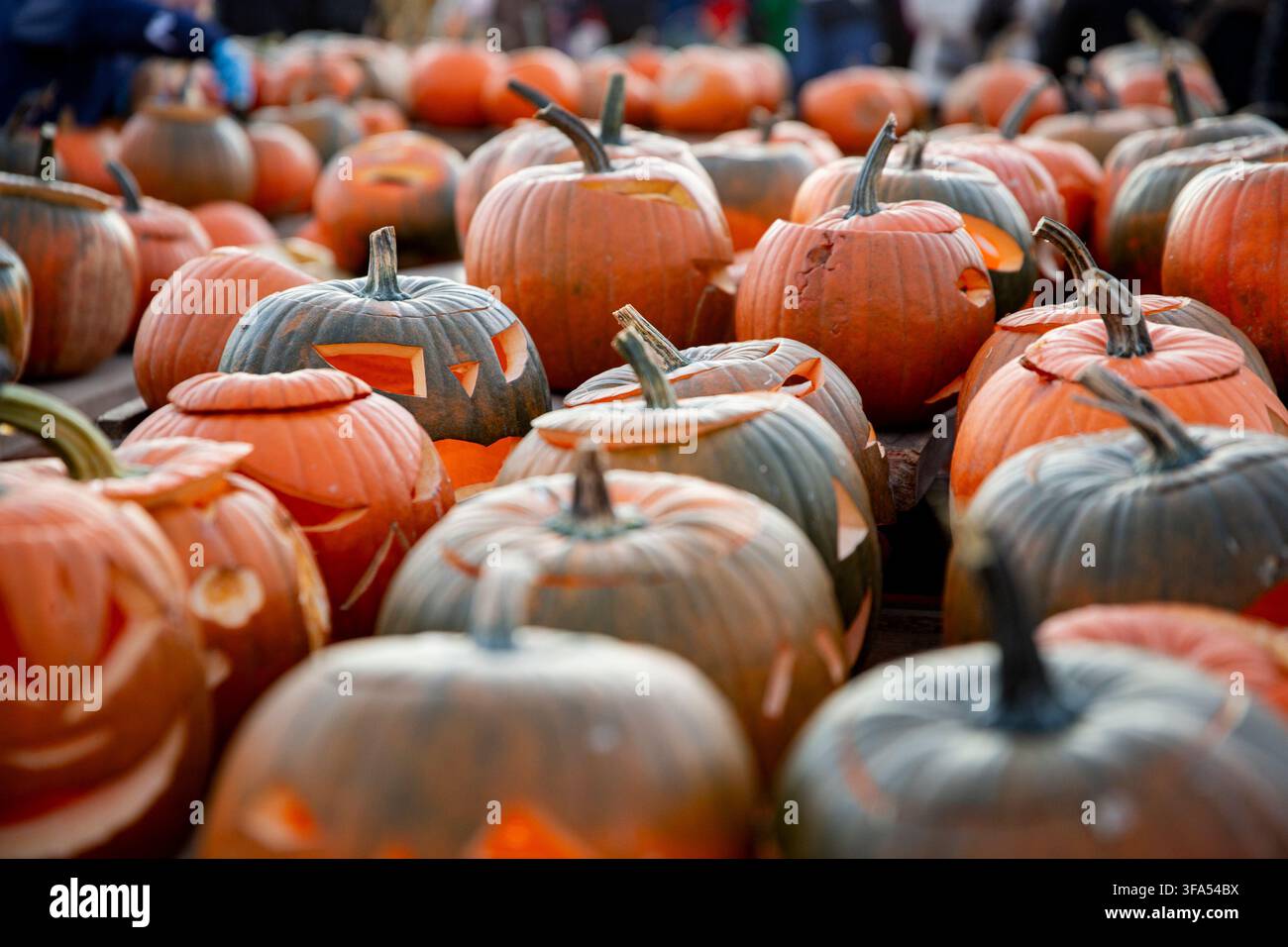 Rangées de citrouilles sculptées en jack-o'-lantern sur un marché d'automne en plein air au coucher du soleil – scène de fête des récoltes de citrouilles d'Halloween. Banque D'Images