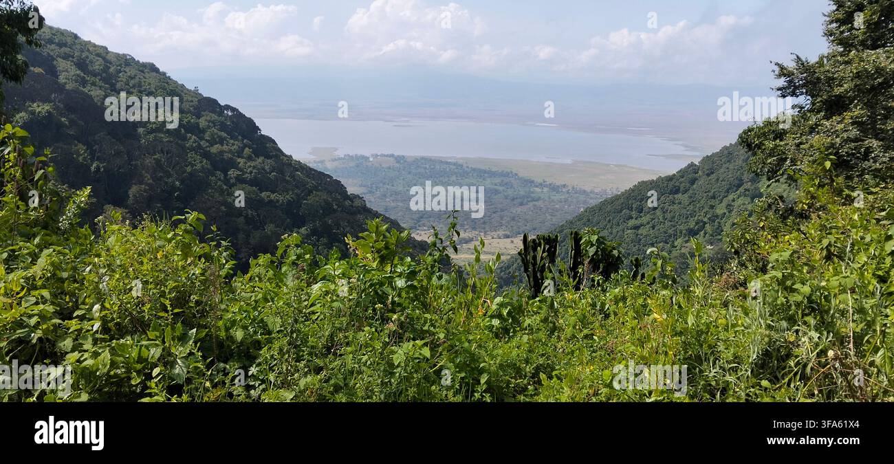 paysages merveilleux de Tanzanie - Image de stock capturée avec un smartphone