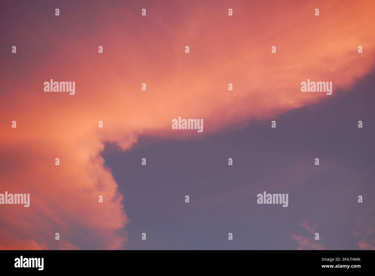 Belle vue du ciel en soirée mettant en scène des nuages cumulus duveteux illuminés par le soleil couchant dans des teintes vives de rose et d'orange, contrastant avec un si Banque D'Images