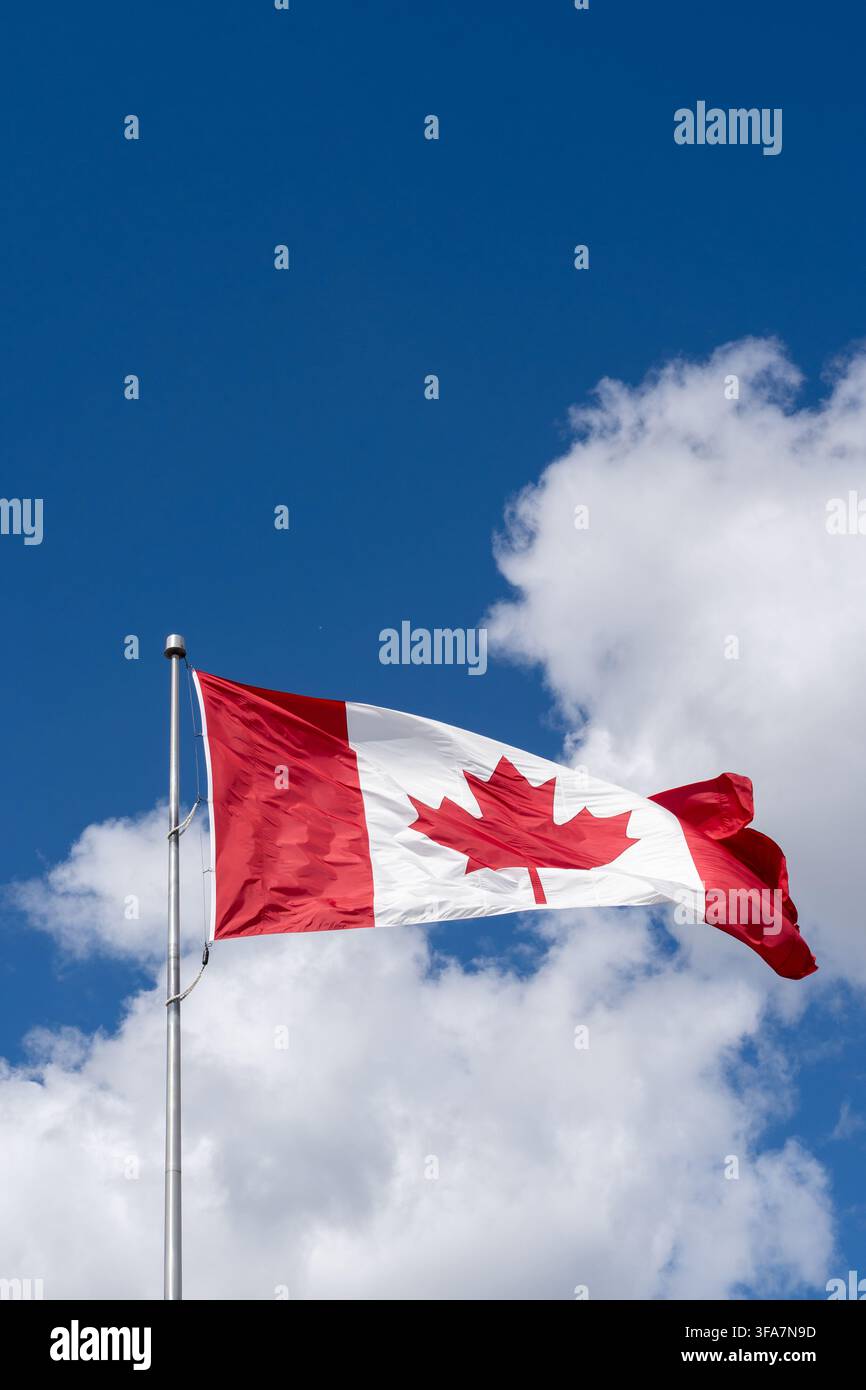 Un drapeau national du Canada flottant contre un ciel bleu parsemé de nuages blancs. Banque D'Images