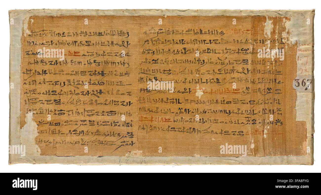 Papyrus du Livre des Morts de Nesmut. Cet objet appartient à une tradition de textes funéraires personnalisés familièrement connus sous le nom de «Livre des Morts». Ces rouleaux contenaient des incantations magiques, des sorts et des déclarations destinés à protéger et guider les âmes – comme celle de Nesmut – alors qu'elles parcouraient les dangers perfides du monde souterrain. Les papyrus comme celui-ci étaient enroulés et placés directement dans la tombe ou le sarcophage du défunt pour assurer leur passage vers la vie éternelle. Les feuilles de papyrus, fabriquées à partir des fibres de la plante de papyrus qui poussait en Égypte, étaient le principal matériau d'écriture dans le monde antique Banque D'Images