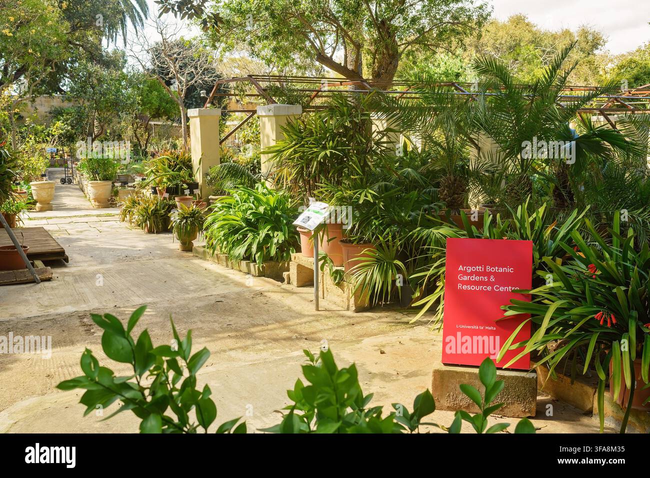 Floriana, Malte - 26 février 2026 : Zone d'entrée des jardins botaniques d'Argotti avec panneau rouge, plantes tropicales en pot, allée et construction de serre Banque D'Images