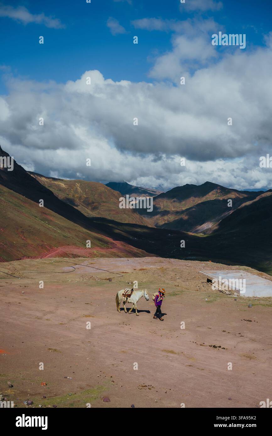 Mouton dans les montagnes Marche avec cheval face aux majestueux monts andins Banque D'Images