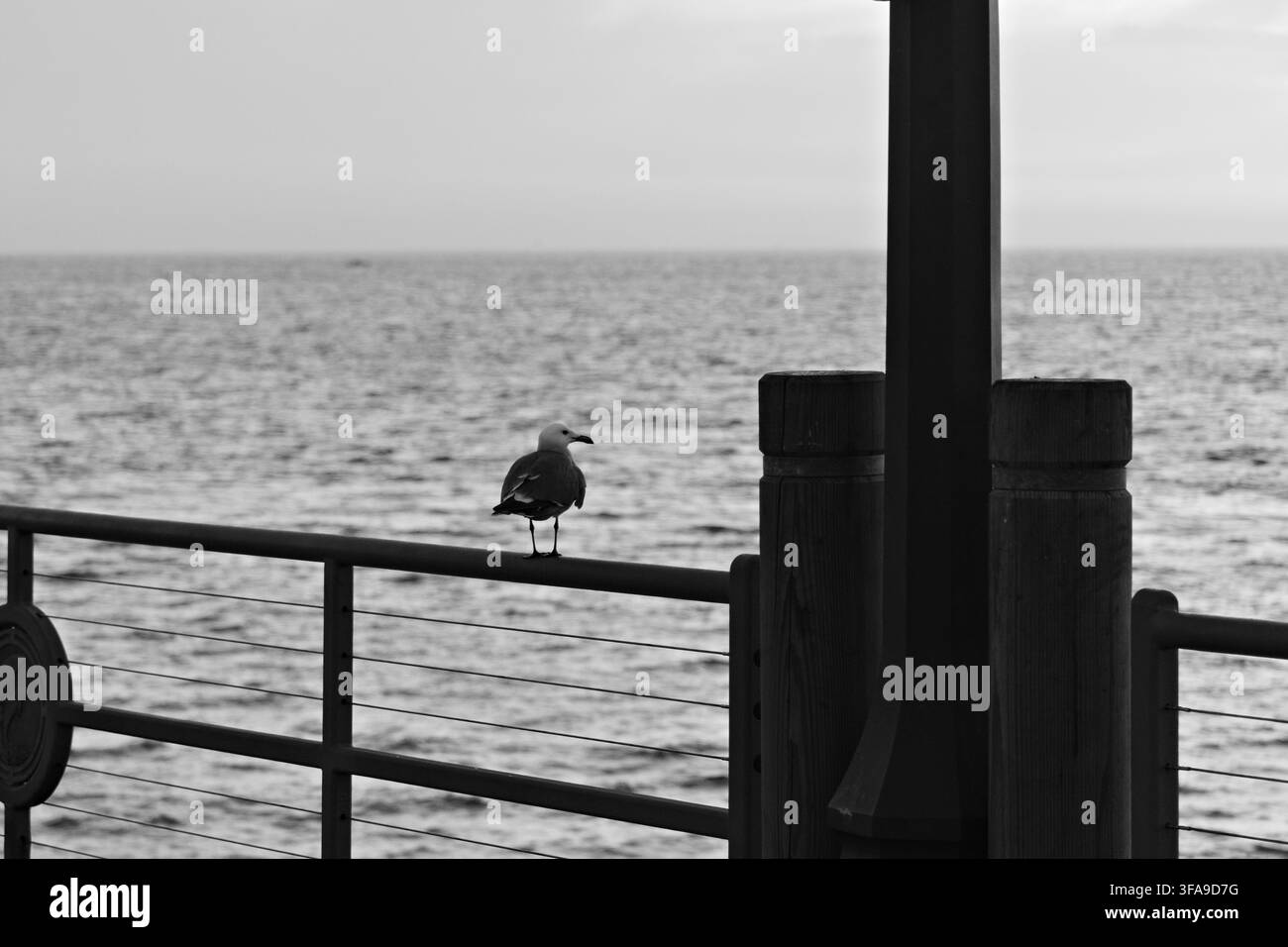Mouette perchée sur une rambarde surplombe l'océan calme au coucher du soleil. Des teintes douces de rose et de bleu remplissent le ciel. La scène évoque une solitude tranquille près de l'eau. Idéale pour les voyages, Banque D'Images