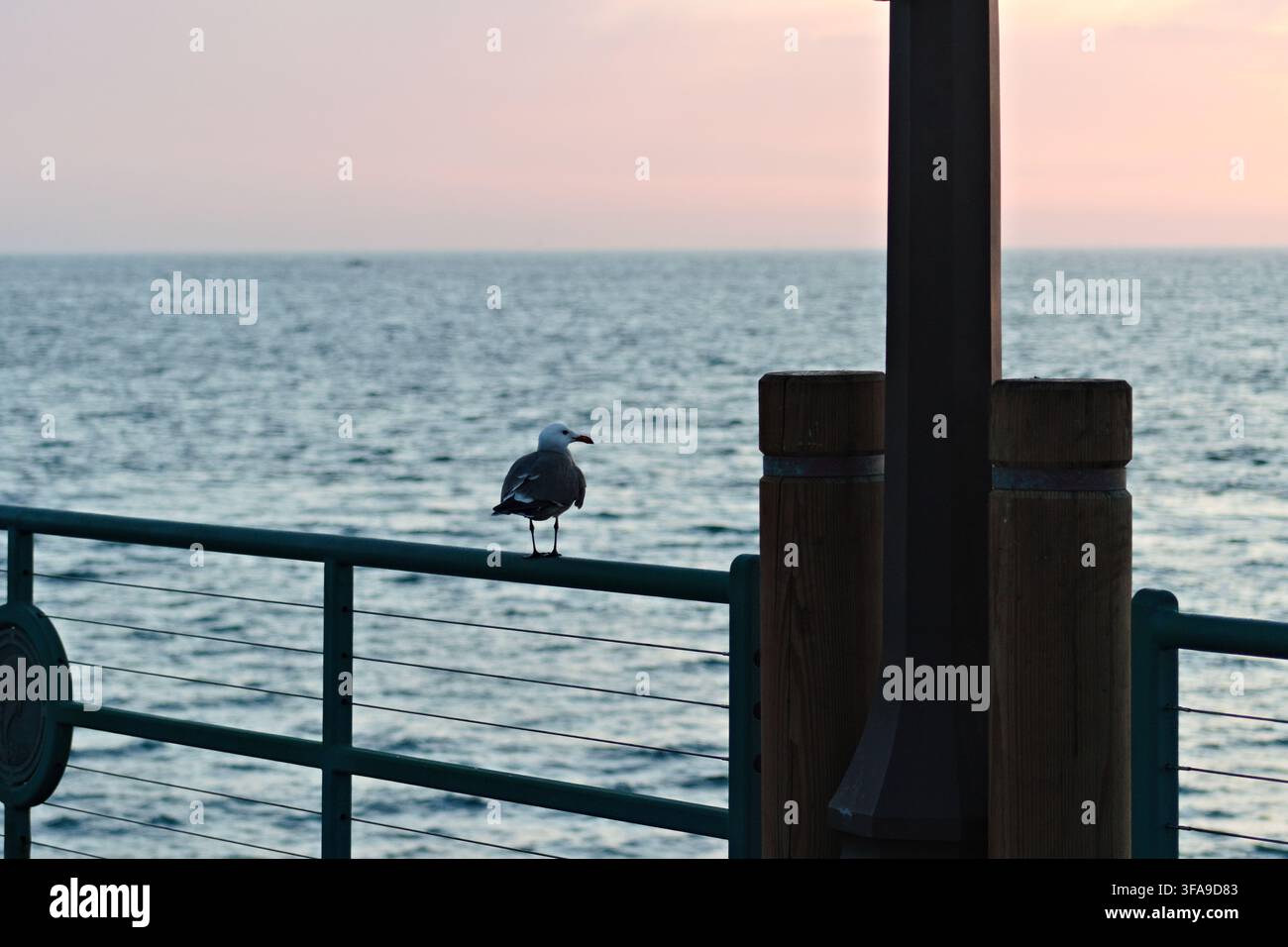 Mouette perchée sur une rambarde surplombe l'océan calme au coucher du soleil. Des teintes douces de rose et de bleu remplissent le ciel. La scène évoque une solitude tranquille près de l'eau. Idéale pour les voyages, Banque D'Images