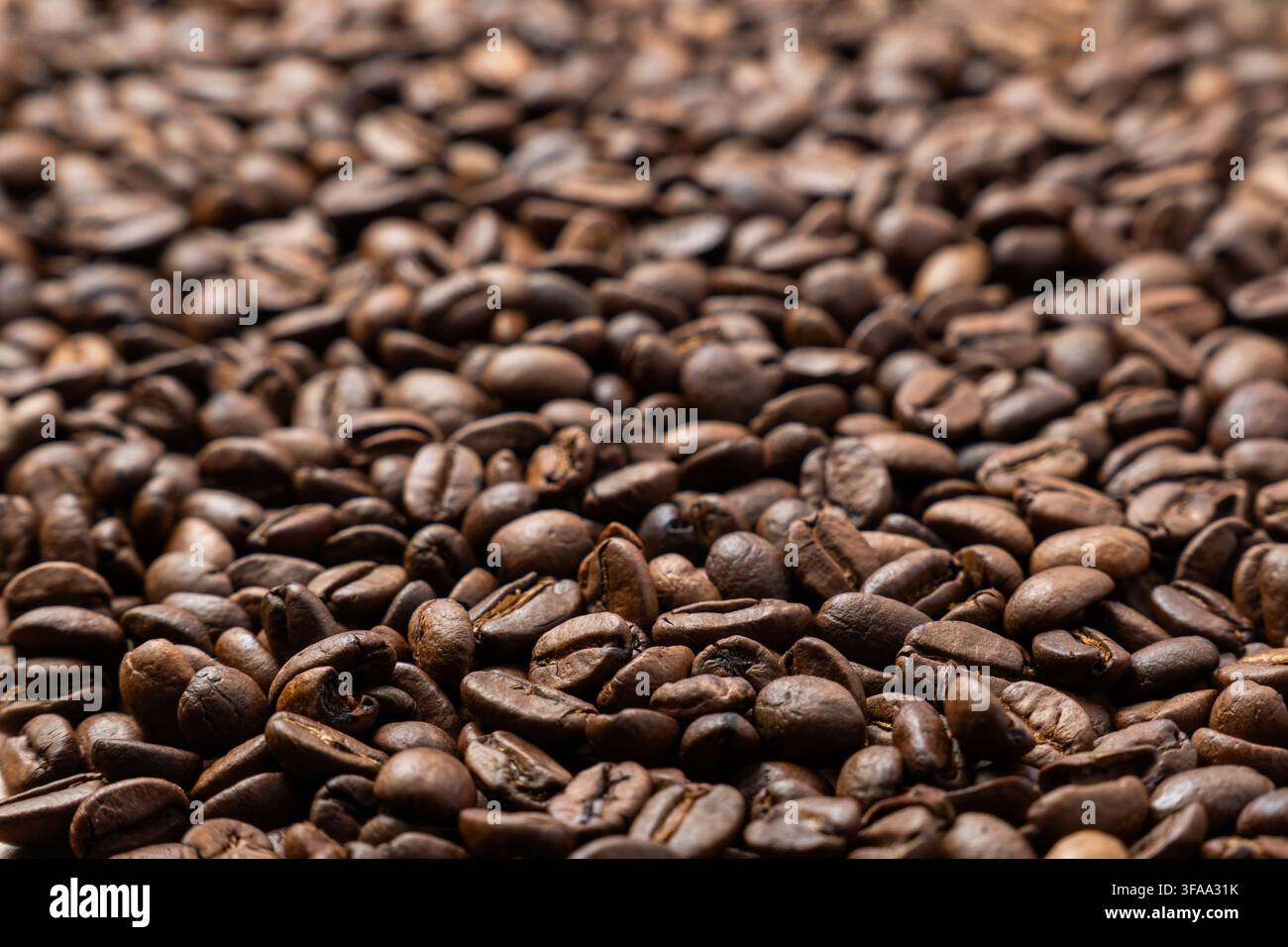 Gros plan avec mise au point sélective sur des grains de café torréfiés étalés en une couche dense. Concept de torréfaction du café, préparation d'expresso, culture café. Banque D'Images