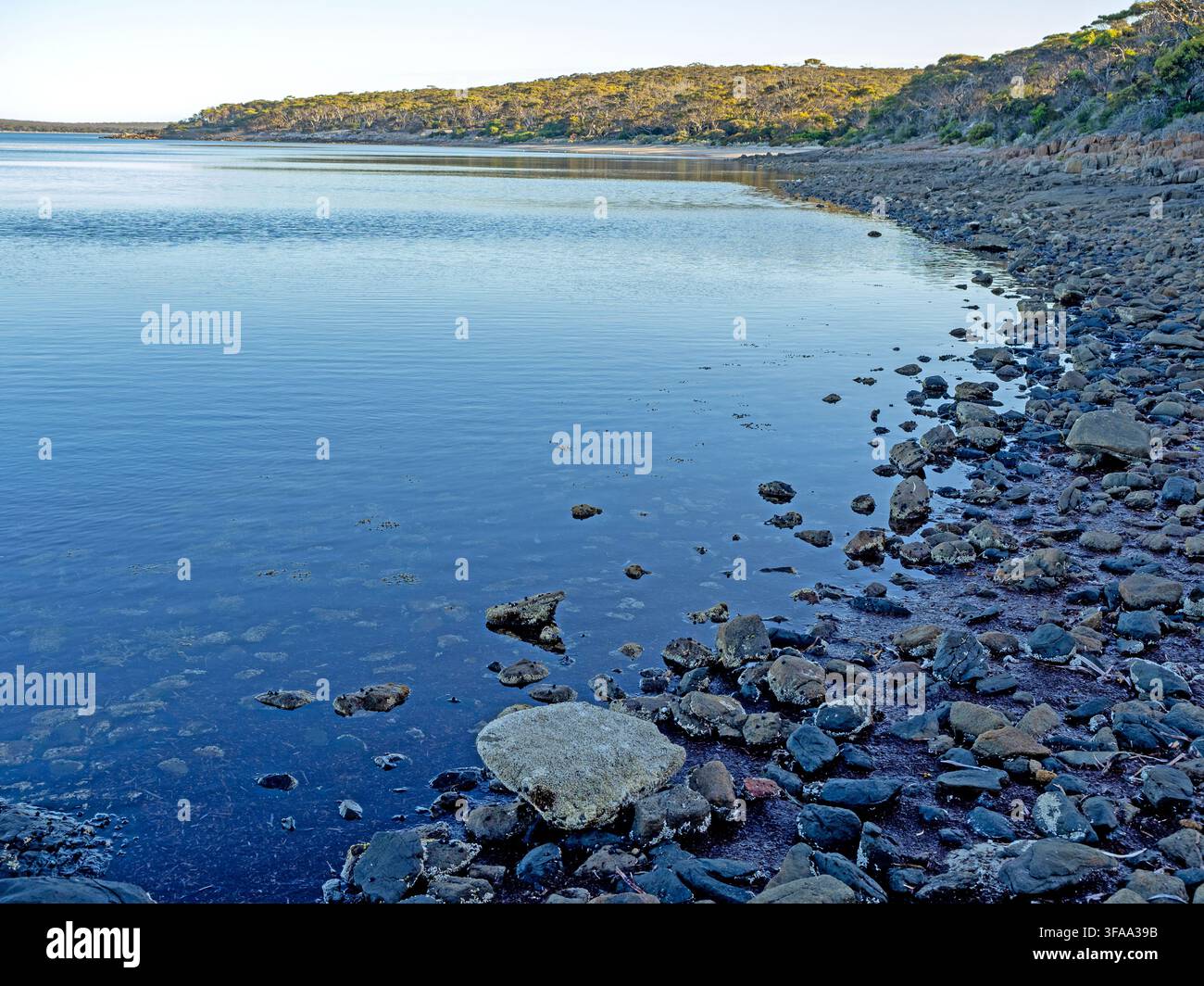 Côte près de Surfleet Cove, parc national de Lincoln Banque D'Images