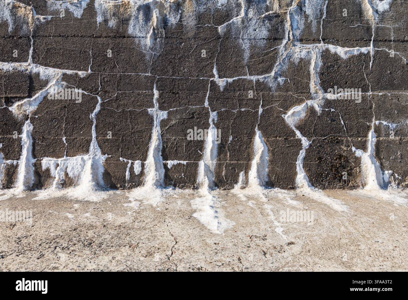 Mur de briques avec du salpêtre blanc, nitrate de potassium Banque D'Images