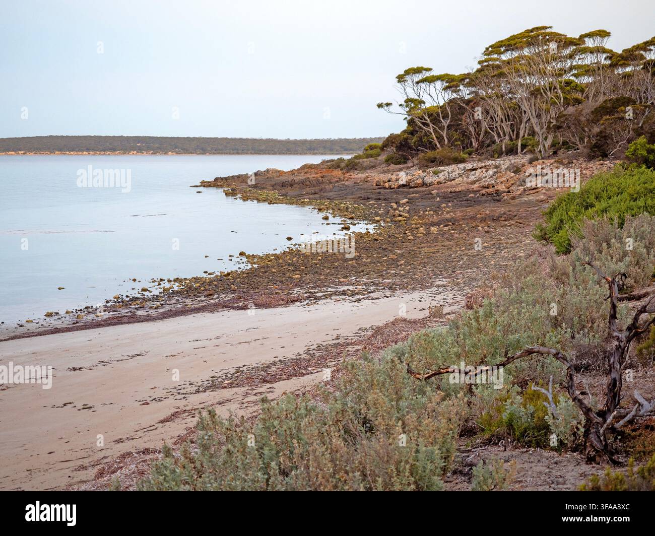 Surfleet Cove, parc national de Lincoln Banque D'Images