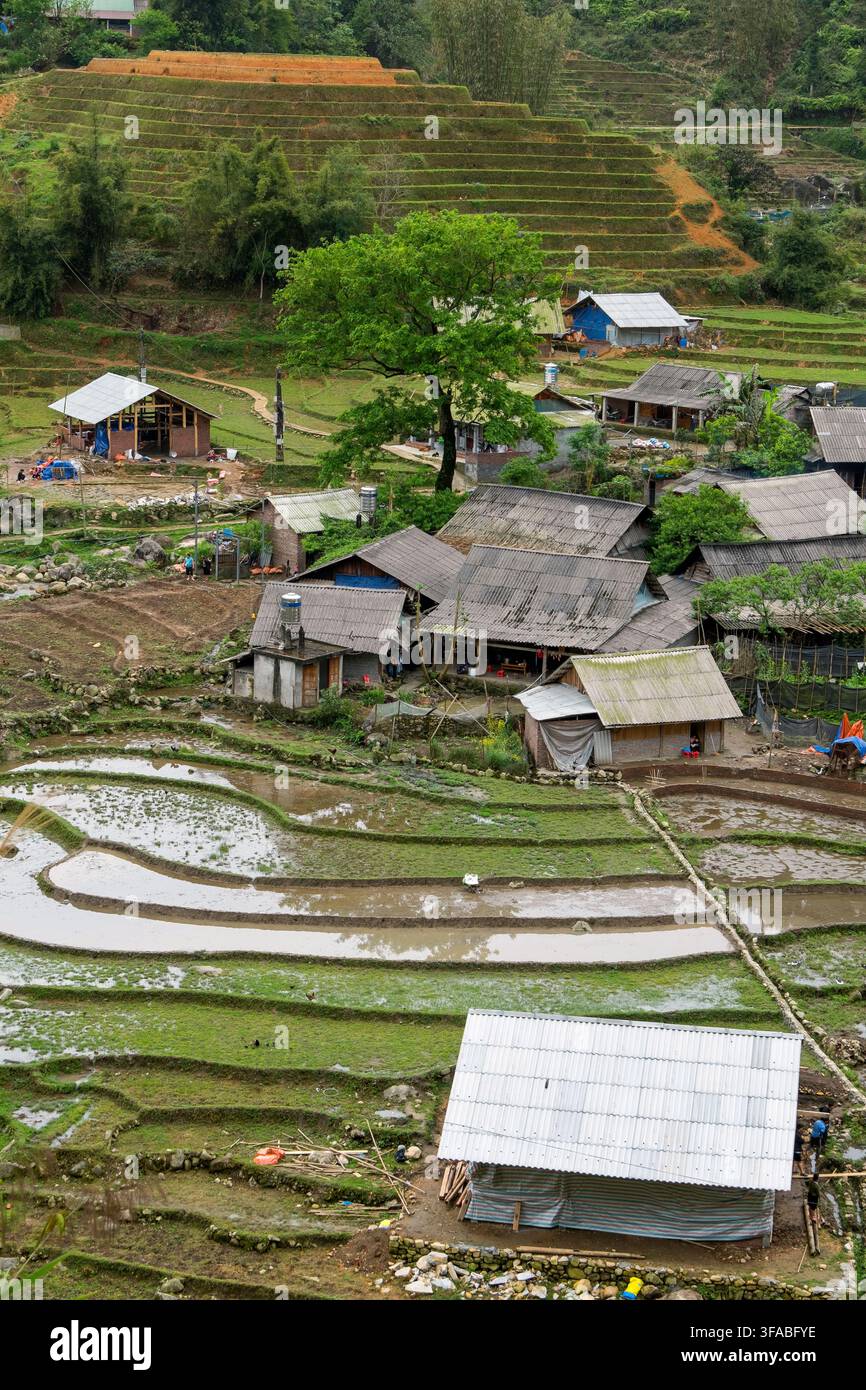 Hameau et rizières dans la région de Sa Pa au nord du Vietnam Banque D'Images