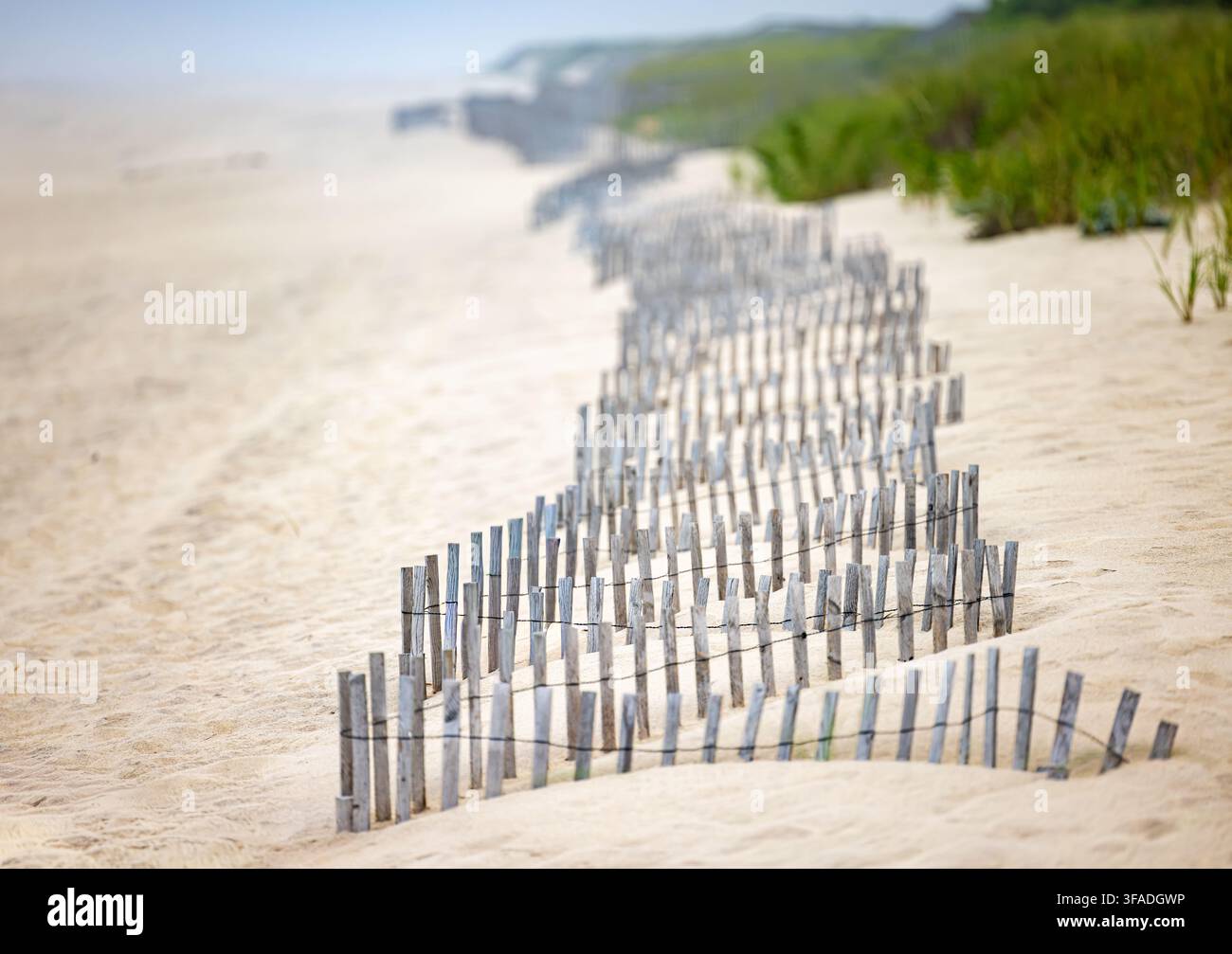 Barrière en bois de sable dans les dunes de Sagaponack, NY Banque D'Images