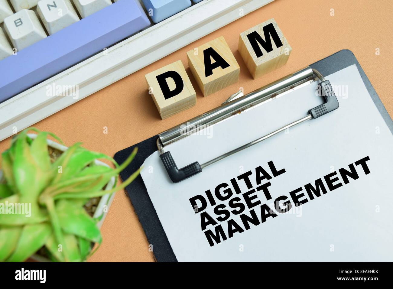 Concept de DAM - Gestion des actifs numériques écrit sur un tableau isolé sur une table. Banque D'Images