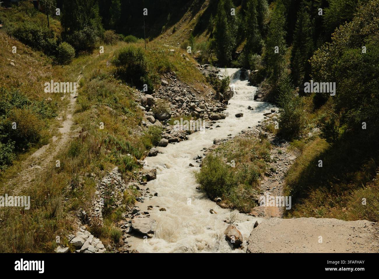 Puissant ruisseau de montagne qui dévale un paysage alpin rocheux, entouré d'une végétation verte et d'une forêt de conifères, créant une nature dynamique Banque D'Images