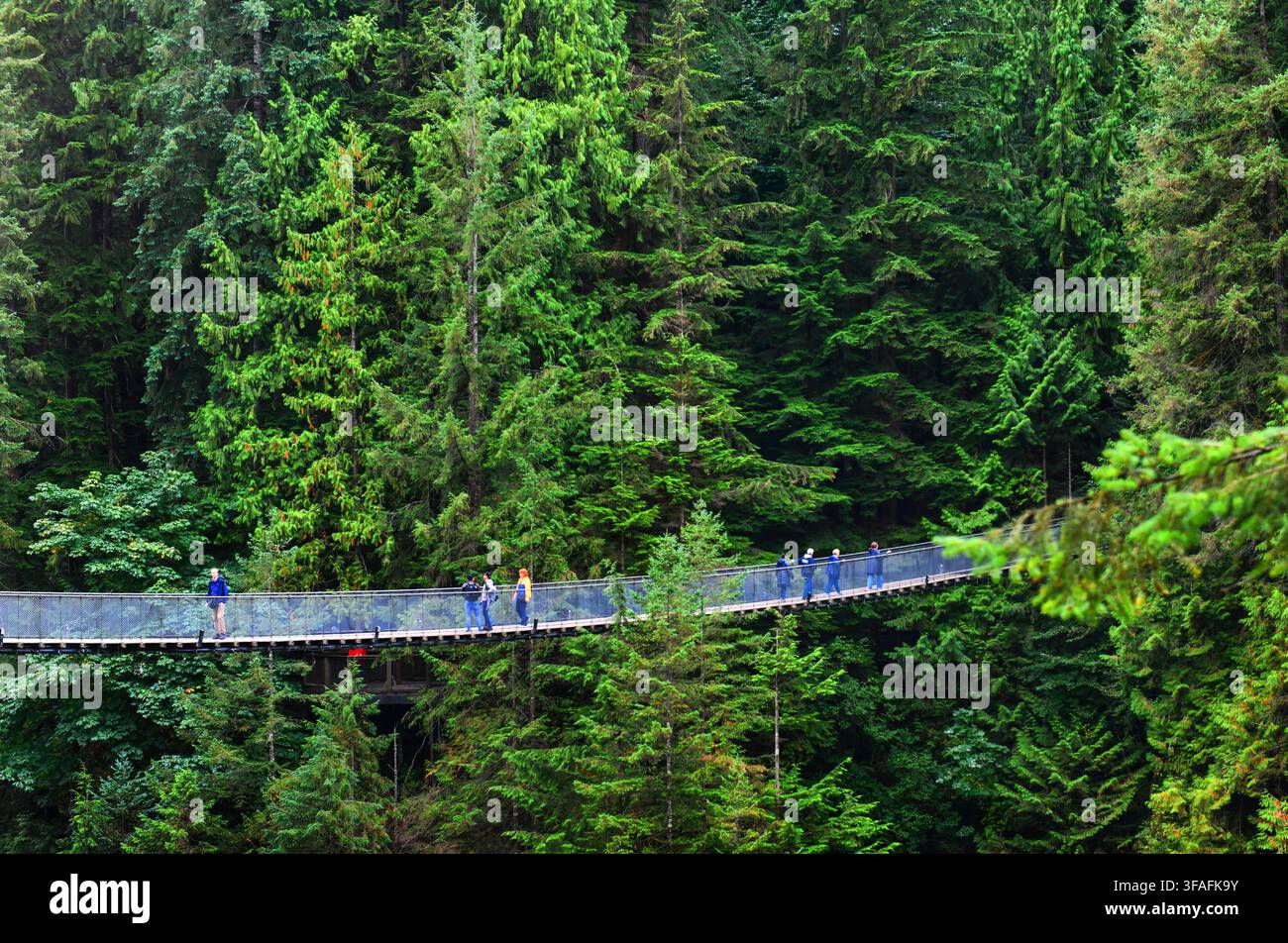 Vancouver, Canada - 25 septembre 2017 : Visiteurs explorant le parc du pont suspendu de Capilano à North Vancouver, le pont suspendu de Capilano fait 460 pi Banque D'Images