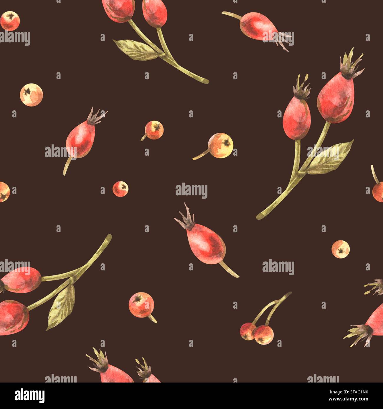Cynorhodons d'automne et petites pommes rouges. Illustrations aquarellées dessinées à la main. Motif sans soudure sur fond marron foncé pour textiles, emballages et Banque D'Images