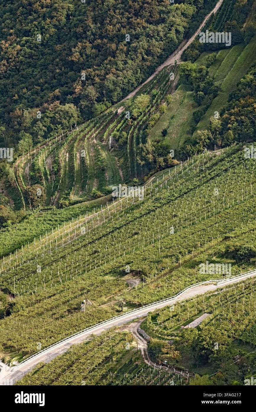 La route menant au village de Lenzima et aux vignobles de la Vallagarina. Isera, Trentin, Italie. Banque D'Images