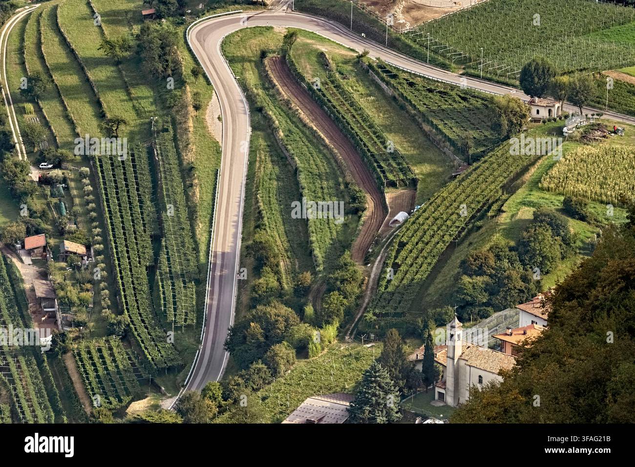 La route menant au village de Lenzima (avec l'église en bas à droite) parmi les vignobles de la Vallagarina. Isera, Trentin, Italie. Banque D'Images