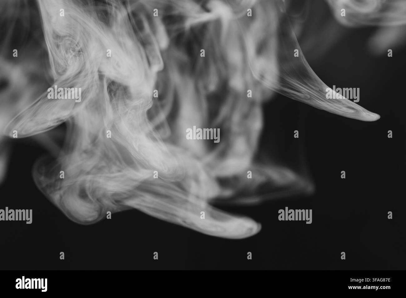 Prise de vue macro abstraite de panaches de fumée blanche gracieux tourbillonnant et s'enroulant créativement sur un fond sombre et uni, créant des motifs fluides organiques Banque D'Images