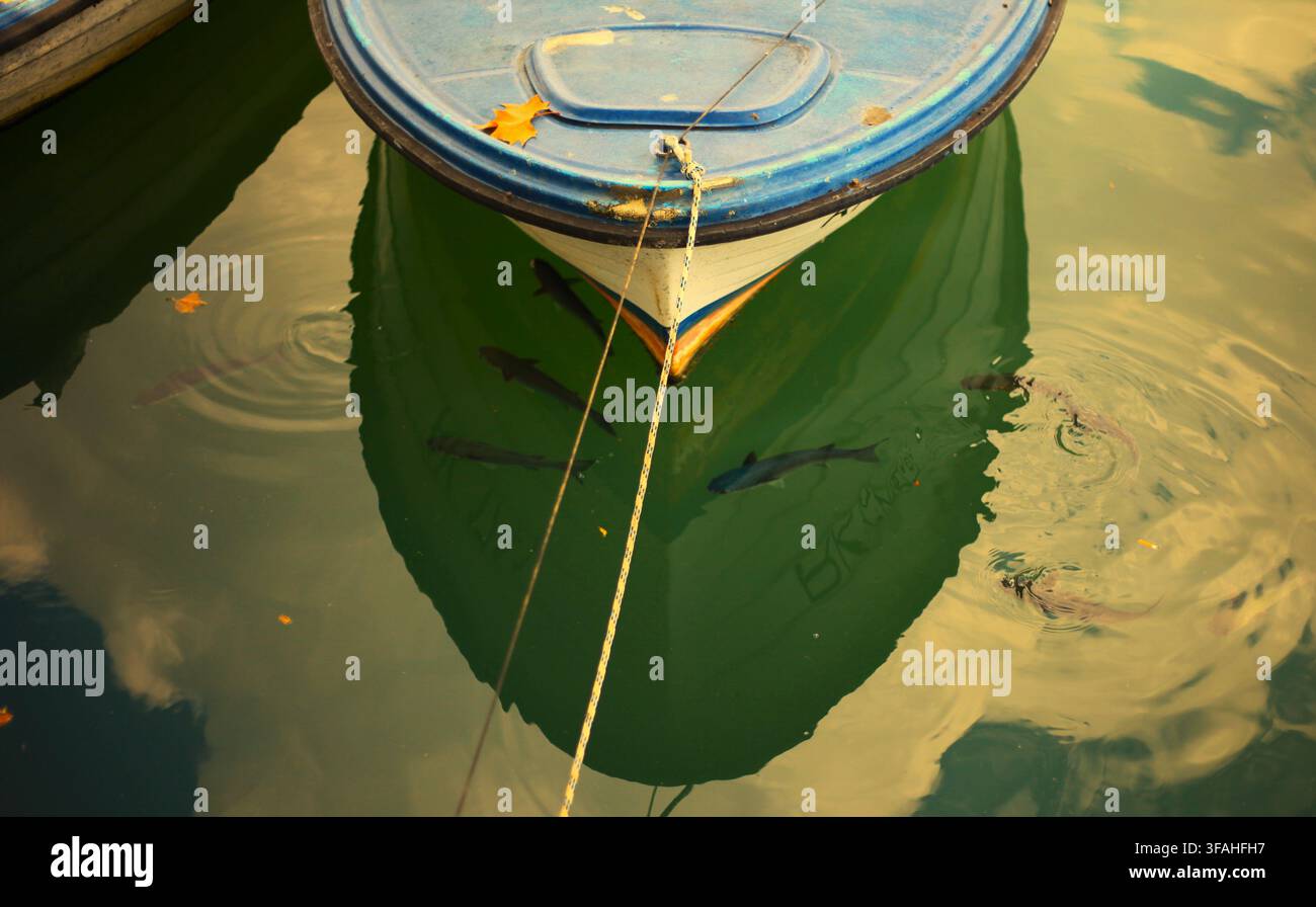 Petit bateau de pêche en bois amarré sur une eau verte et calme avec des poissons nageant près de son reflet dans le port de Rijeka, baie de Kvarner, Croatie. Banque D'Images