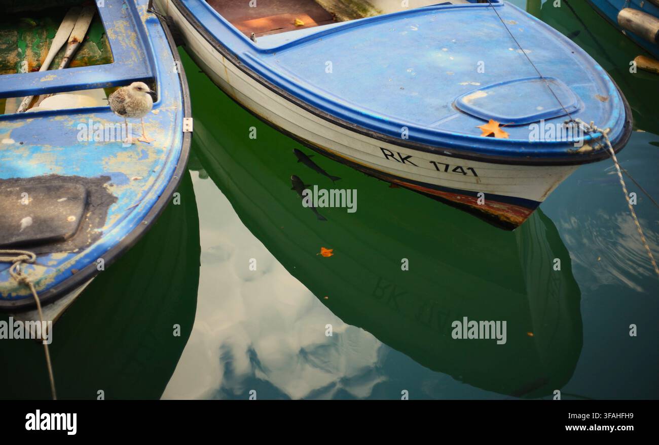 Petits bateaux de pêche en bois avec une mouette posée sur la proue et des poissons nageant dans l'eau calme du port de Rijeka, baie de Kvarner, Croatie. Banque D'Images