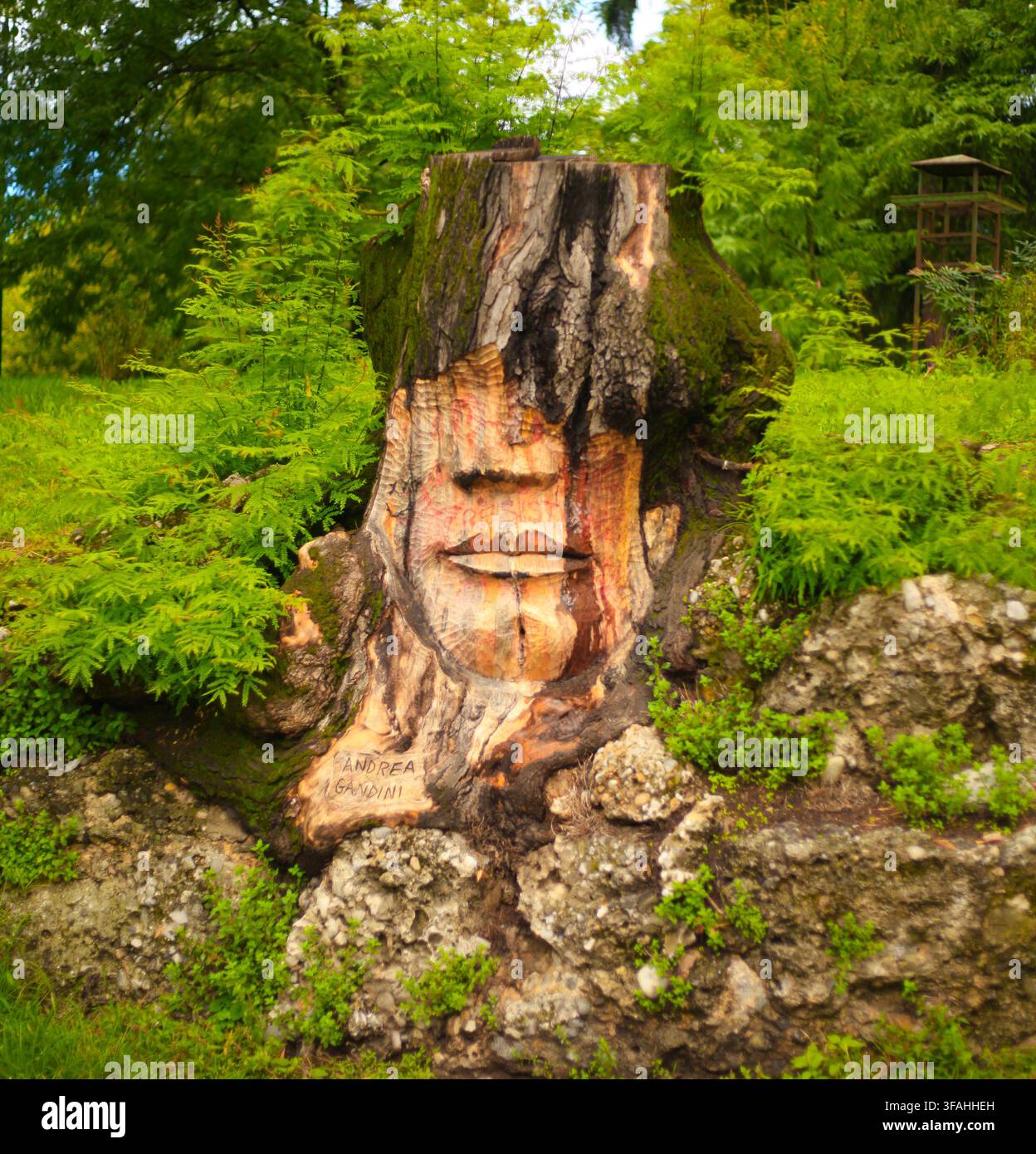 Sculpture en bois représentant un visage sur une souche d’arbre créée par l’artiste Andrea Gandini dans un parc public à Milan, région de Lombardie, Italie. Banque D'Images