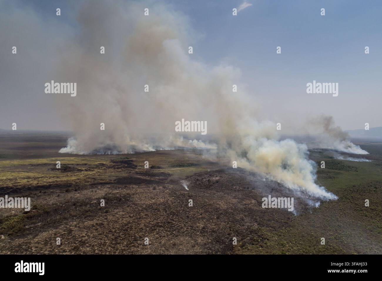 Vue d'une drone brûlée dans la végétation sèche Banque D'Images