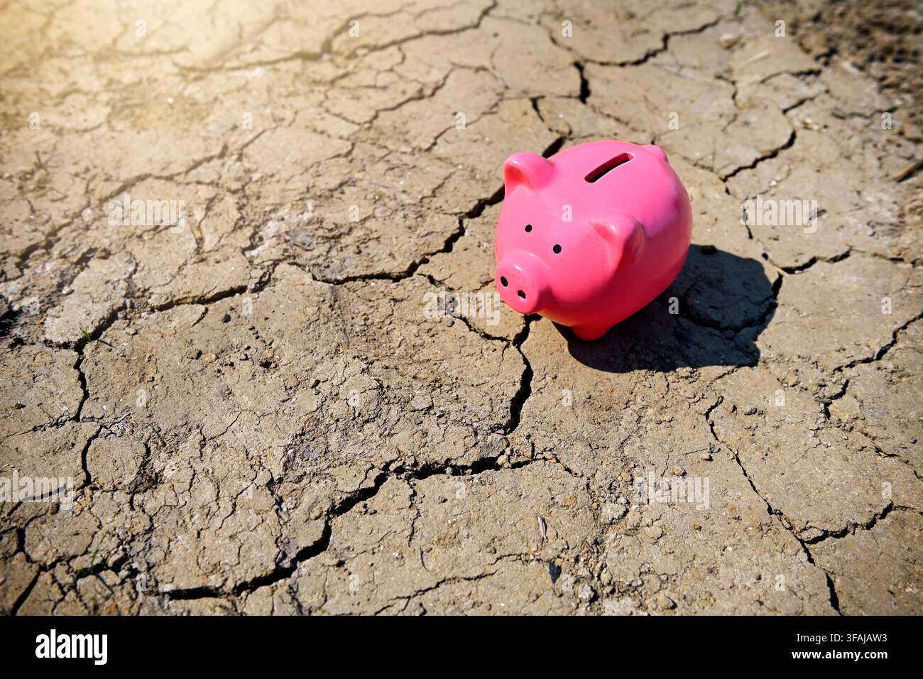 Tirelire sur sol sec, image symbolique des dommages financiers causés par le changement climatique, la sécheresse et l'aridité, photomontage Banque D'Images
