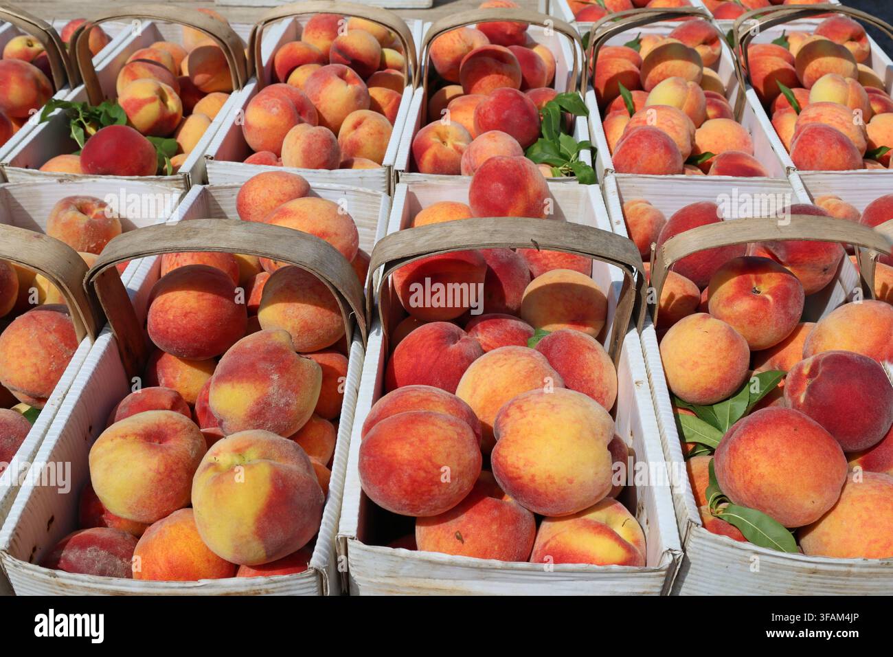 Paniers de pêches fraîches et mûres sur un marché de producteurs Banque D'Images