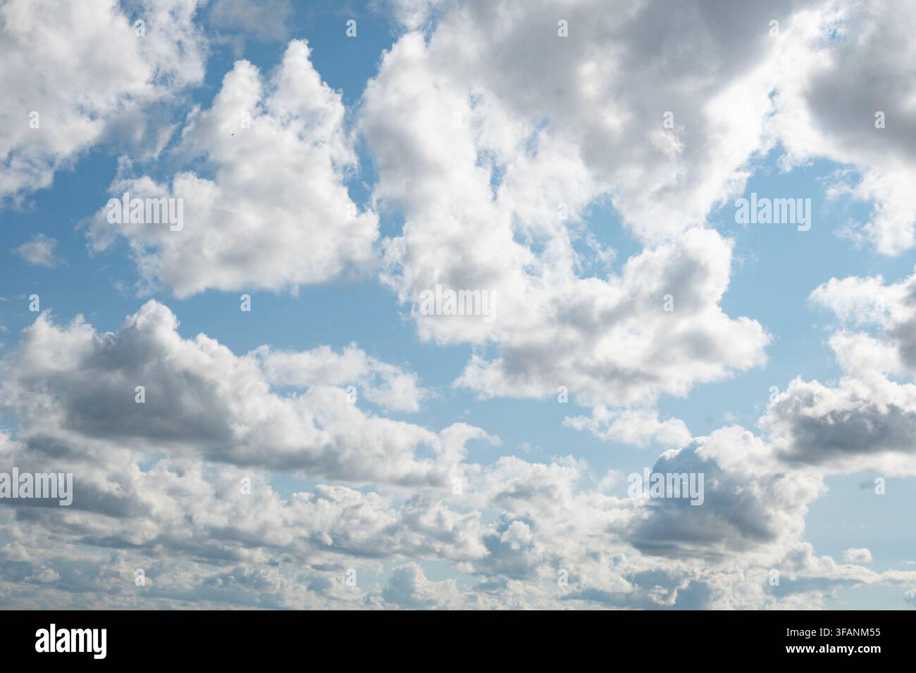 Un ciel bleu éclatant rempli de nuages blancs duveteux et de petites formations moelleuses. La lumière douce du soleil et le temps clair créent une ambiance calme et sereine pendant la journée l Banque D'Images