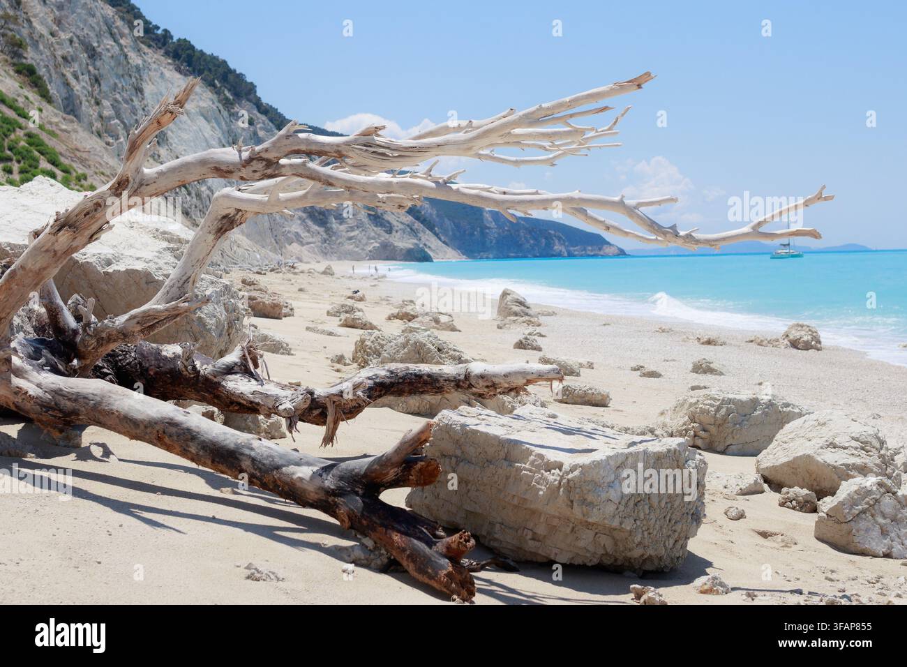 Bois flotté décoloré par le soleil sur une plage turquoise pittoresque Banque D'Images