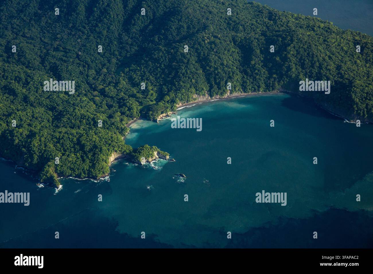 Côte insulaire tropicale luxuriante et verte vue du dessus Banque D'Images