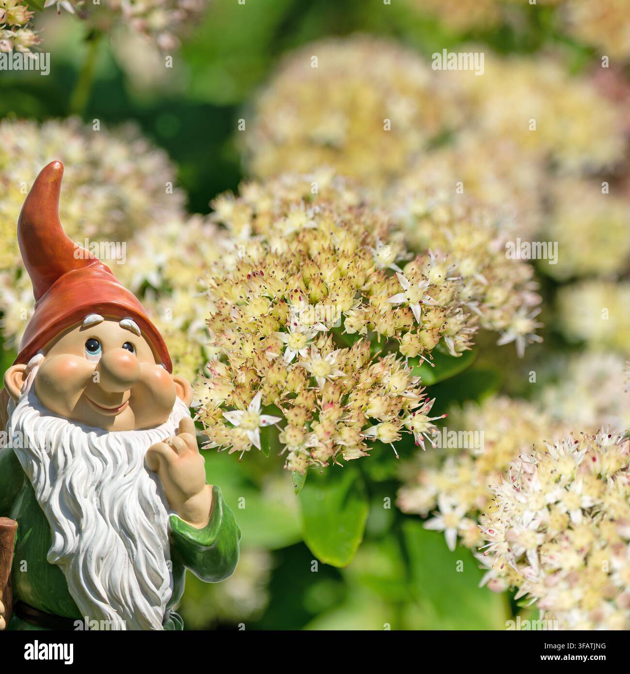 Grande pierre à fleurs blanches Banque D'Images