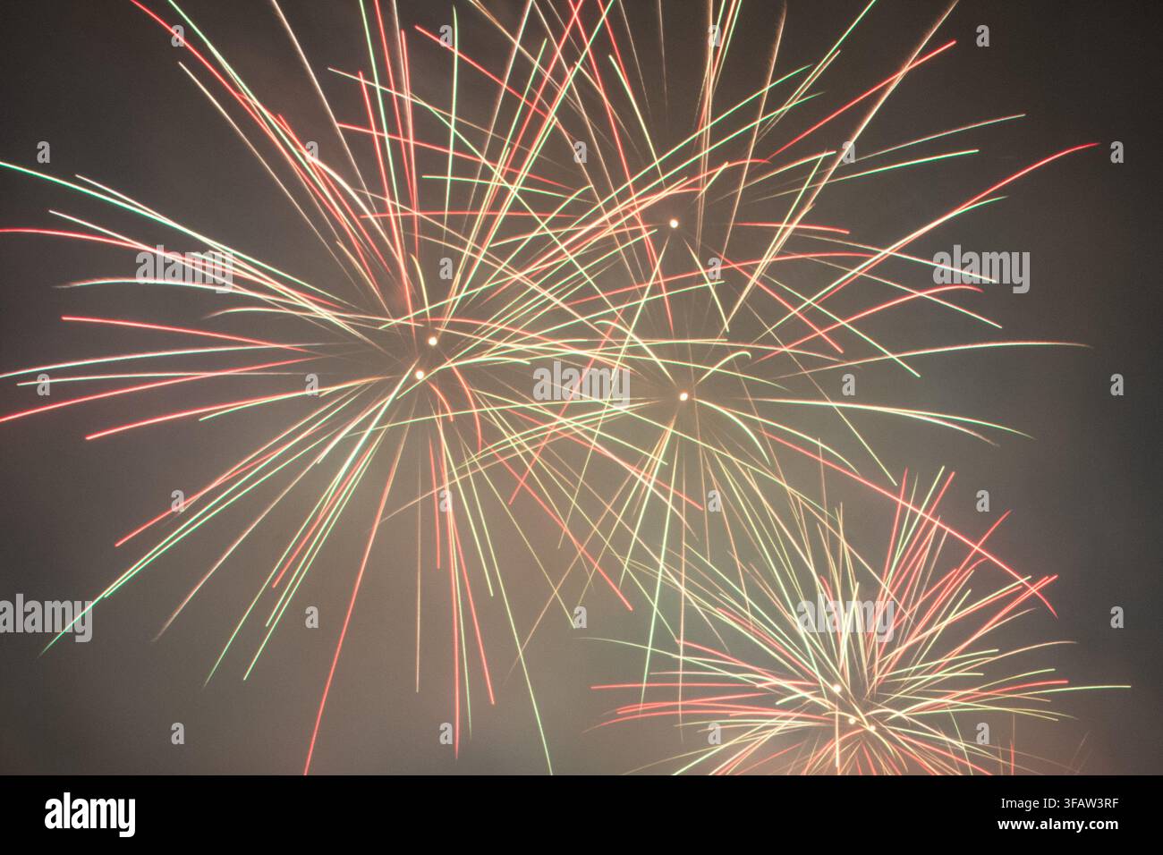 Un cliché vibrant de feux d'artifice explosant dans le ciel nocturne, avec des traînées rouges, vertes et dorées lumineuses rayonnant vers l'extérieur. Idéal comme fond festif Banque D'Images